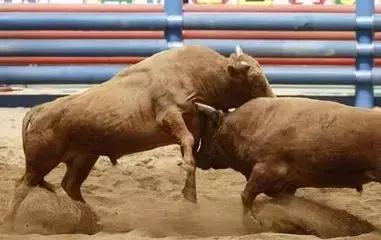 100个人生哲理短片,30个经典人生哲理