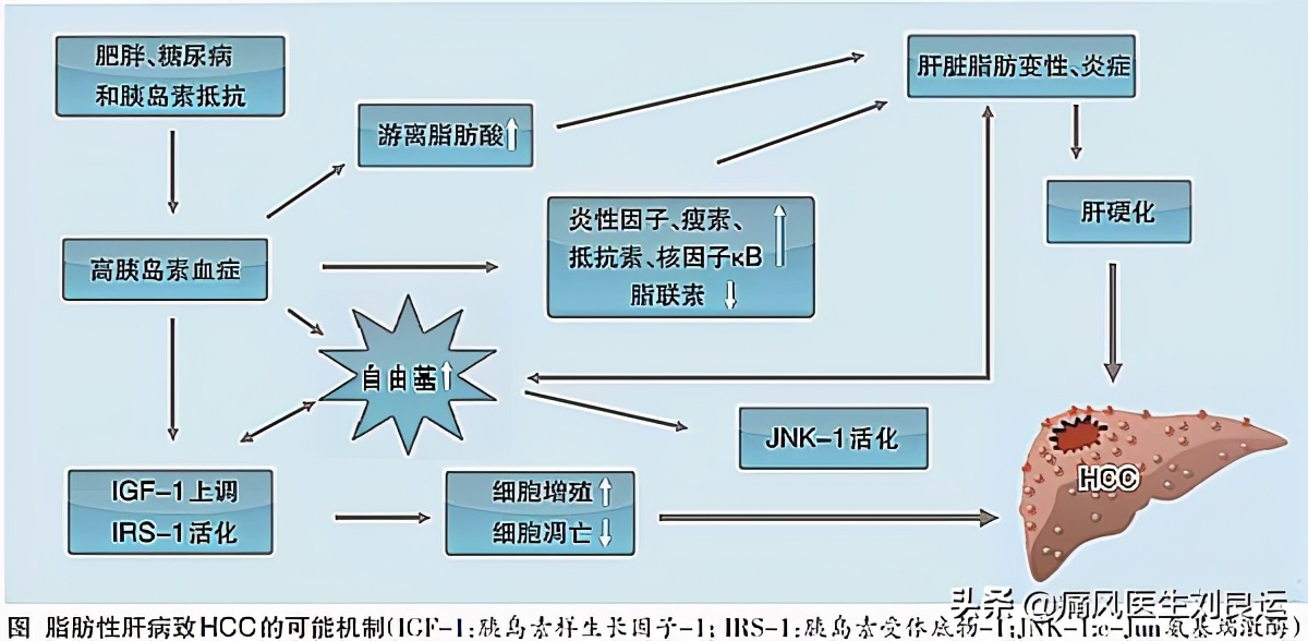 尿酸高吃什么药可降尿酸不伤肝,痛风吃什么降尿酸的药不伤肝
