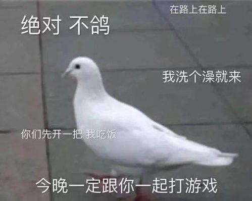 2019年度热点词大全