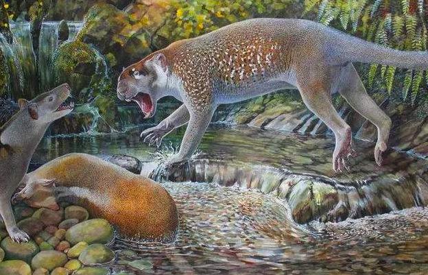 世界上第一只狮虎兽,狮虎兽和虎狮兽为什么体型巨大