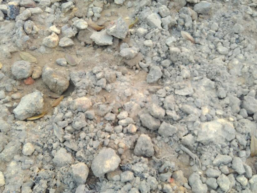 土壤中蒜苗需要把它全部盖住吗,大矿泉水瓶蒜苗土壤种植方法