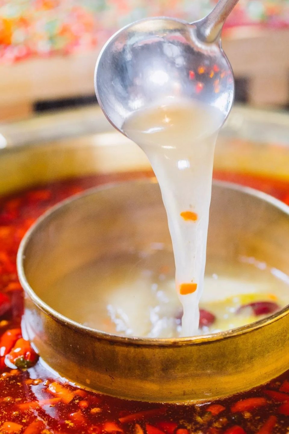 把菜园搬到餐厅,把菜园搬到家门口