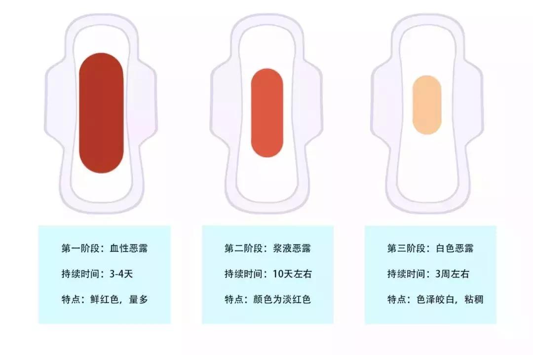 超全面的产后恶露知识，看这一篇就够了