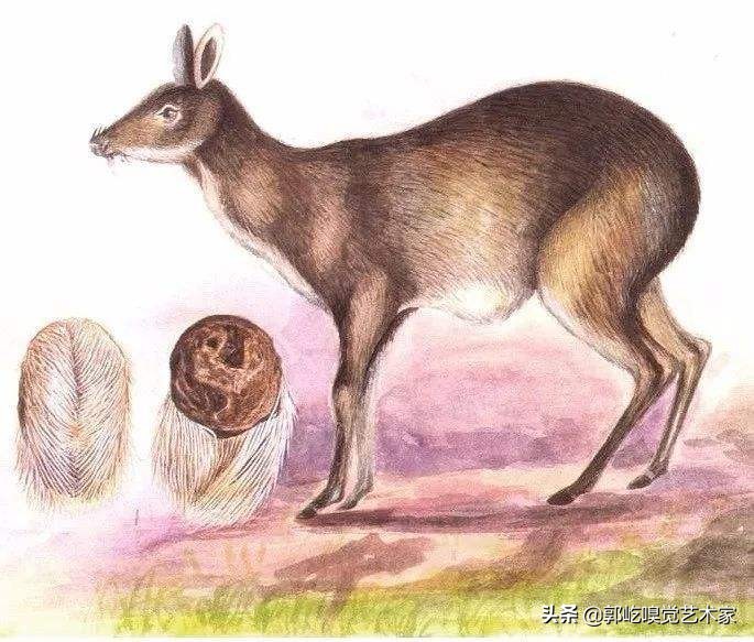 麝香真的会导致流产吗,麝香可以化胎吗