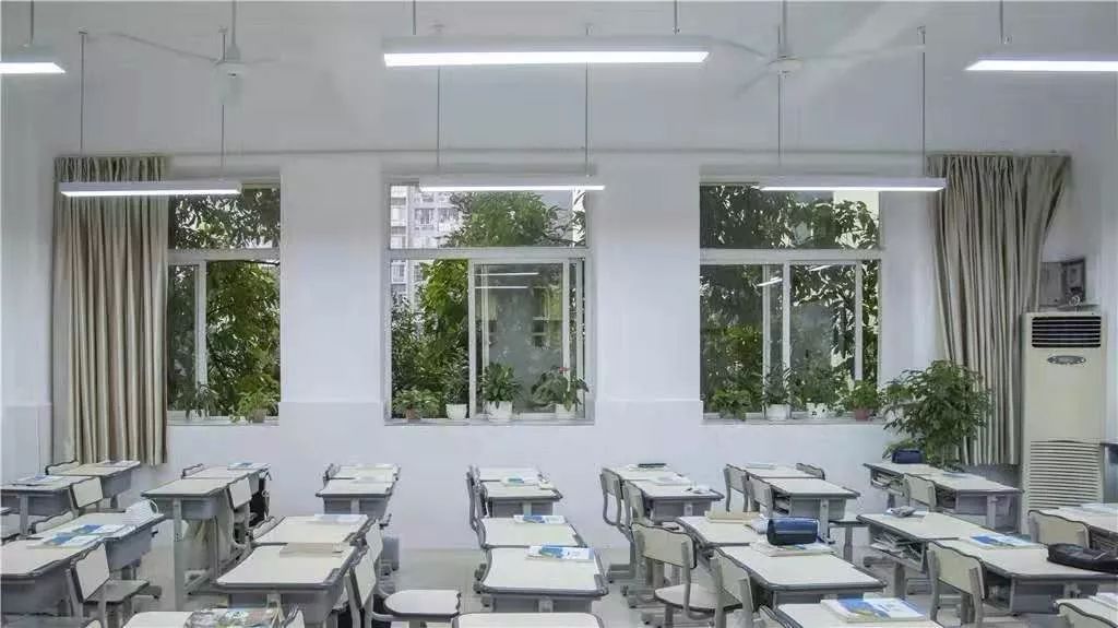 沙坪坝最好的中学校,沙坪坝区初中学校排名