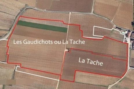 勃艮第最有名的五个葡萄园,勃艮第有多少个独占园