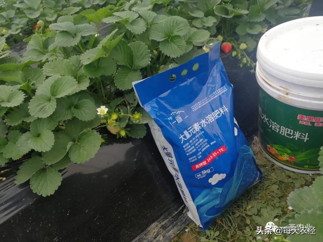 好的土壤应该含氮磷钾养分是多少,地里氮磷过高怎么办