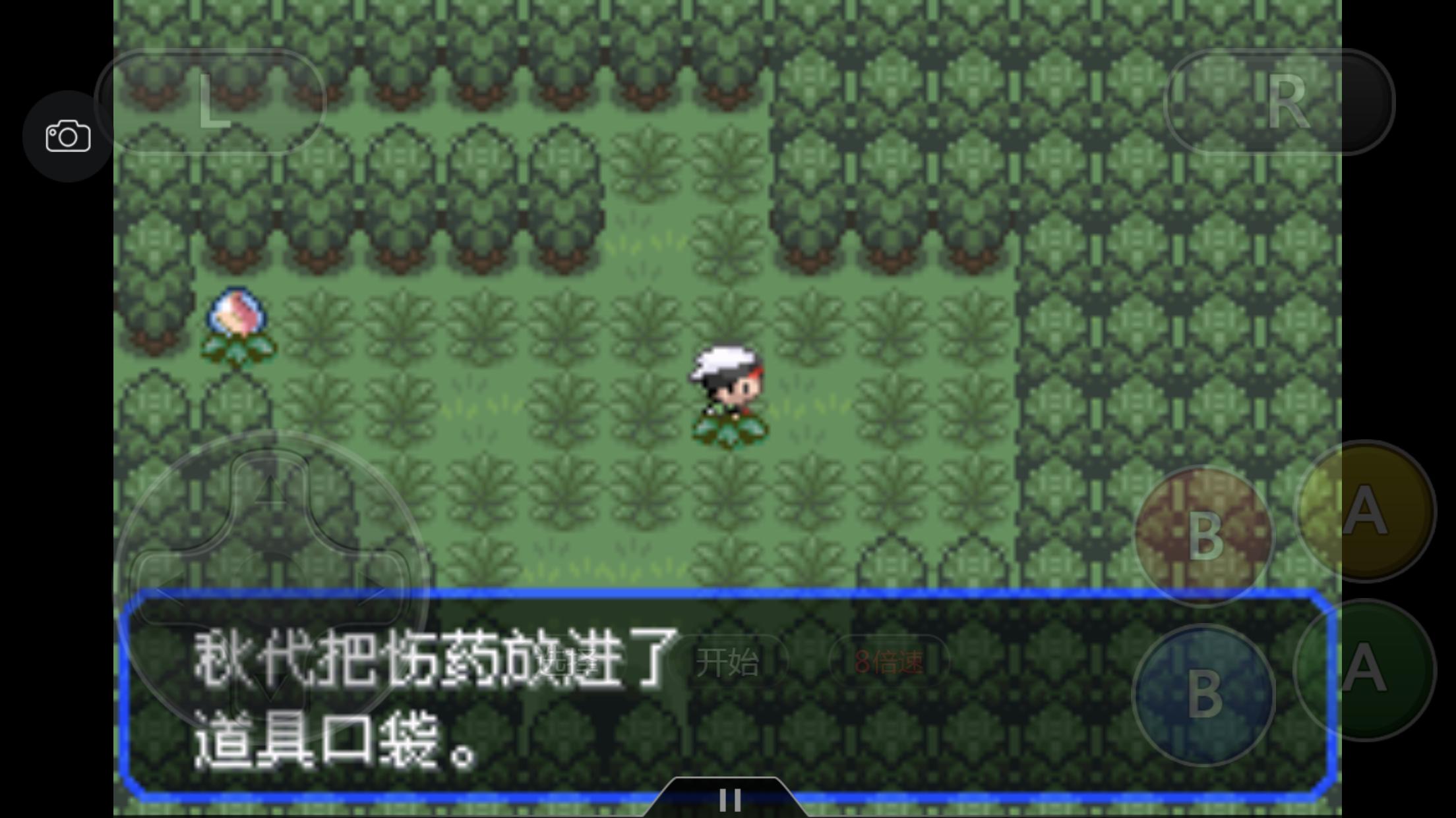 究极绿宝石5.3如何才算完成一周目,口袋妖怪之究极绿宝石5攻略