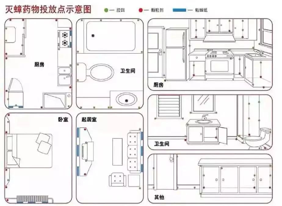科学简单的方法解决蟑螂,科学治理蟑螂步骤