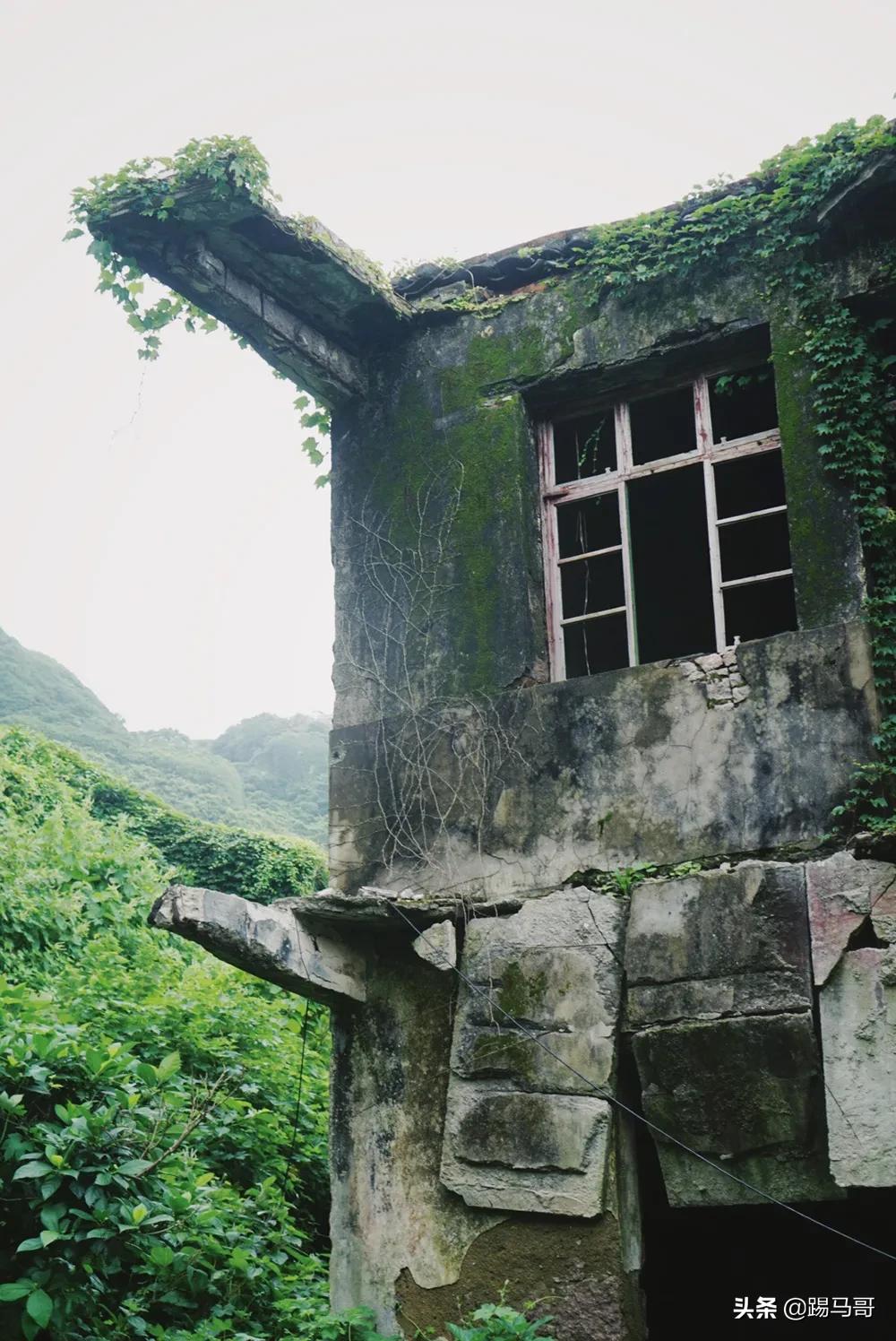 海南东极岛自由行攻略 (嵊泗列岛东极岛枸杞岛哪个值得去)