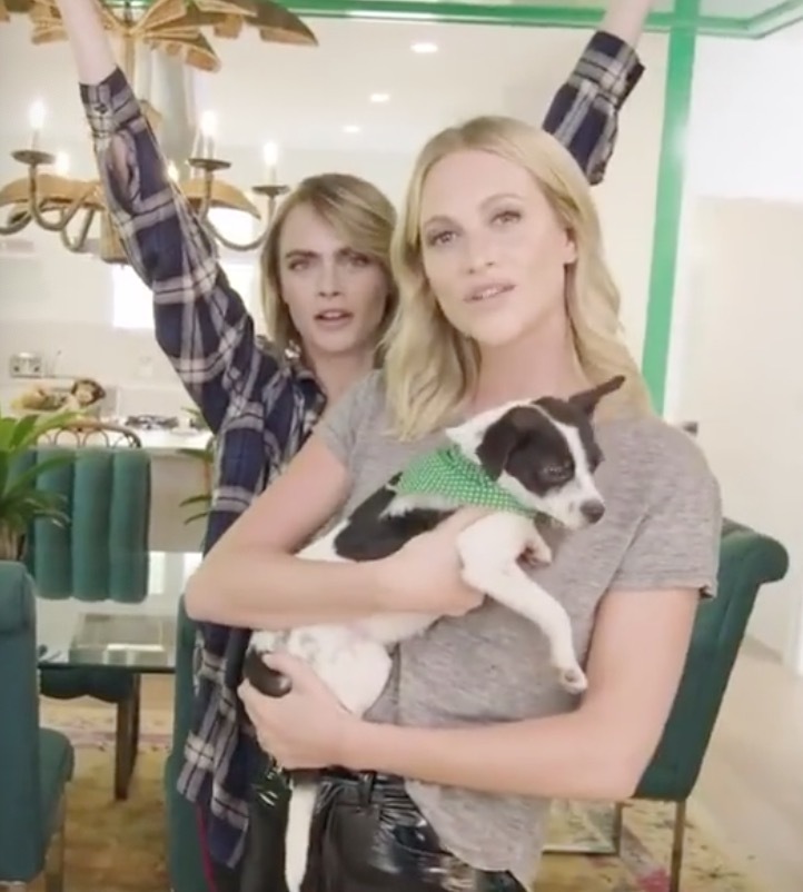 甜！英国贵族超模爱上美国女艺人，机场热吻，狂撒狗粮