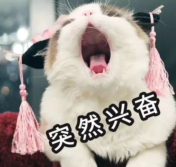 叶檀财经十大最没前途城市,叶檀财经十大潜力股2021