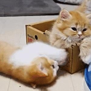 怎么延缓更年期绝经用什么药,更年期激素替代具体方法