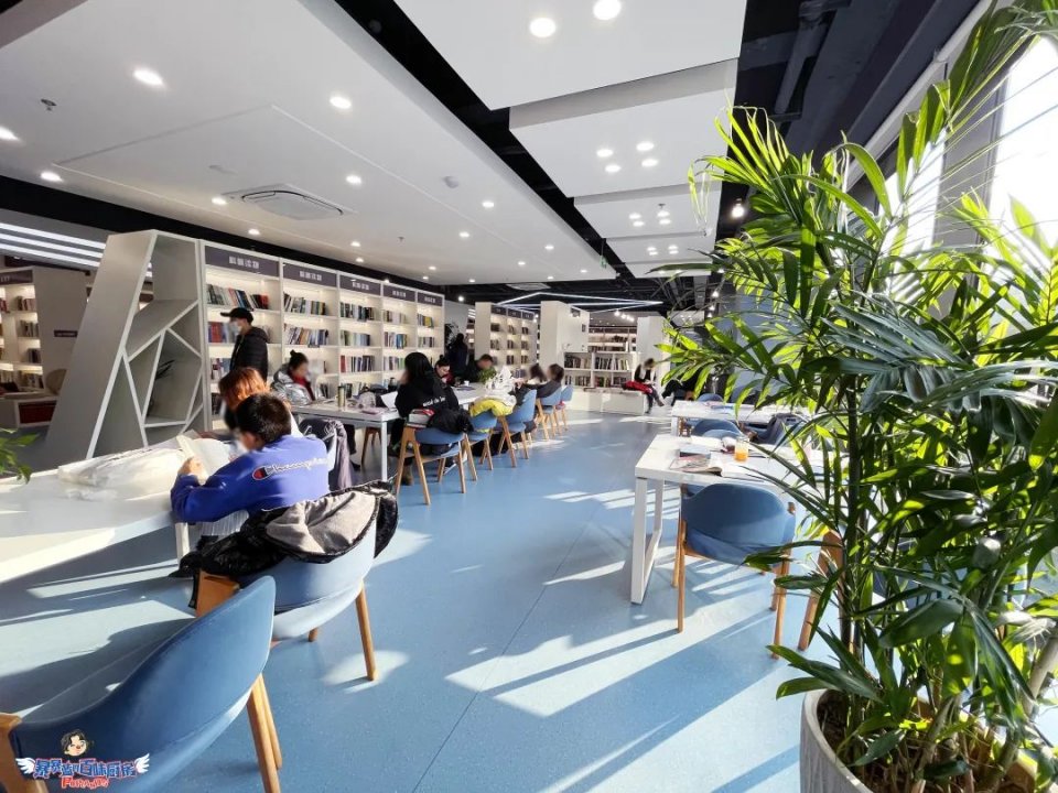 美哭了！沈阳公园里的高颜值城市书房，周末限流入馆！暴风哭泣