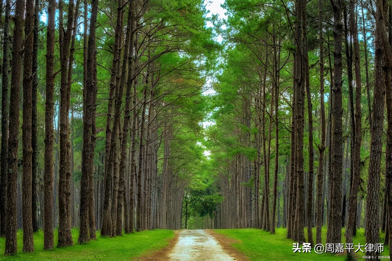 鍗囪揪鏋椾笟绱㈣禂,鍗囪揪鏋椾笟002259