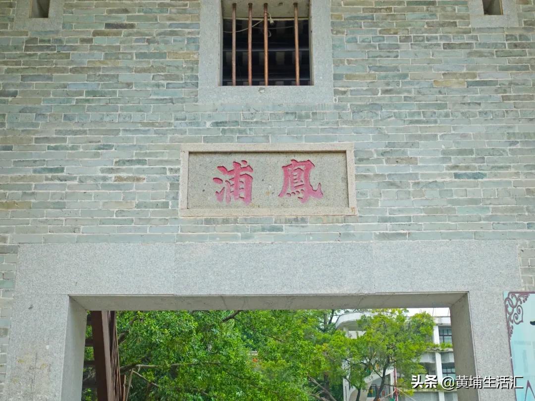 黄埔古港打卡点,黄埔古港广州打卡圣地