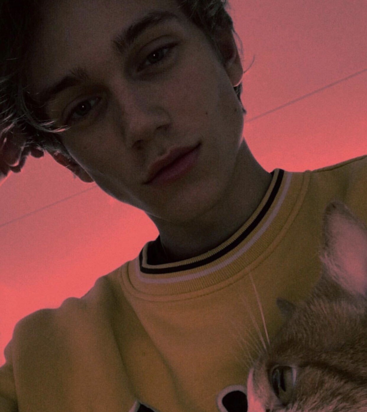 鑽峰叞瓒呭竻鐢锋ā,鑽峰叞椤剁骇鐢锋ā