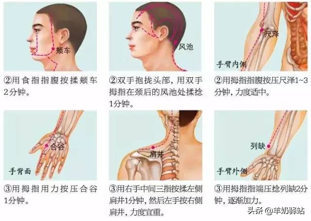 18种常见病特效药,88个特效穴位治疗常见病集锦