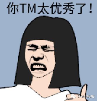 如何把女朋友放入SU当模板？嘿嘿嘿