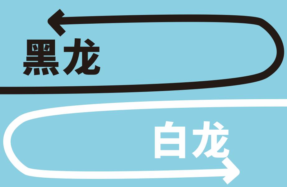 普雷浮游庭院雷龙 (普雷浮游庭院怎么用)