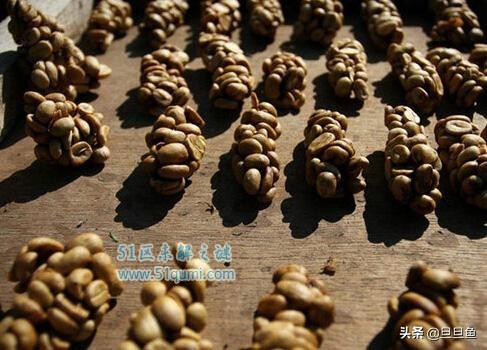 世界上最贵的咖啡,最贵猫屎咖啡10万