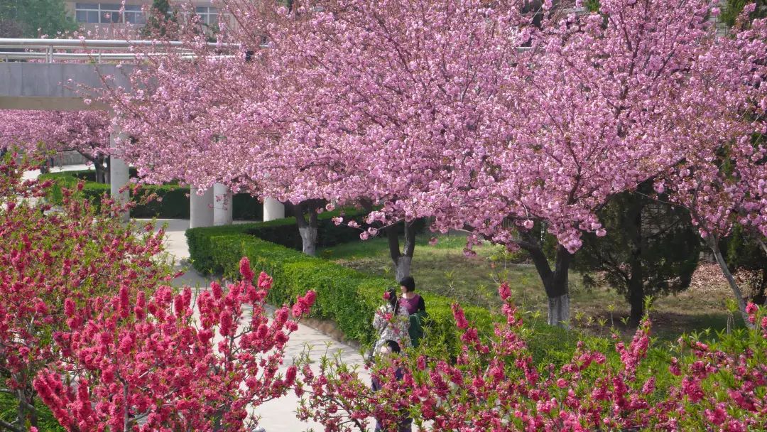 我为什么劝你来西安读大学？！