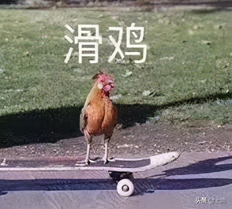 这个辣鸡，才是浙江人心里yyds