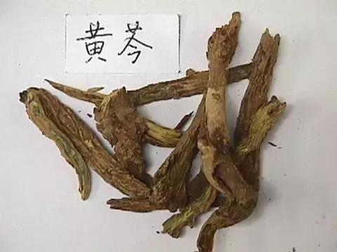 这些药便宜又实用,这几个中医药方子值得收藏