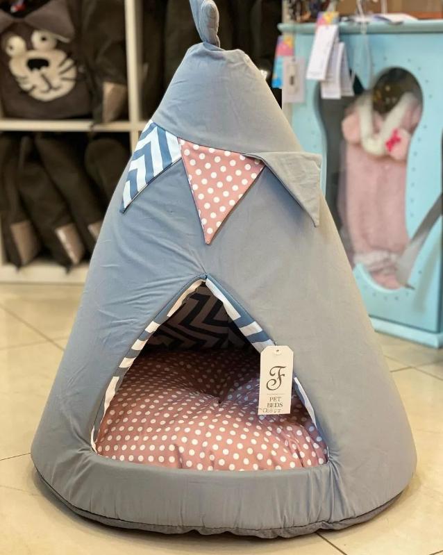 生活在宠物天堂的动物,在天堂的猫狗