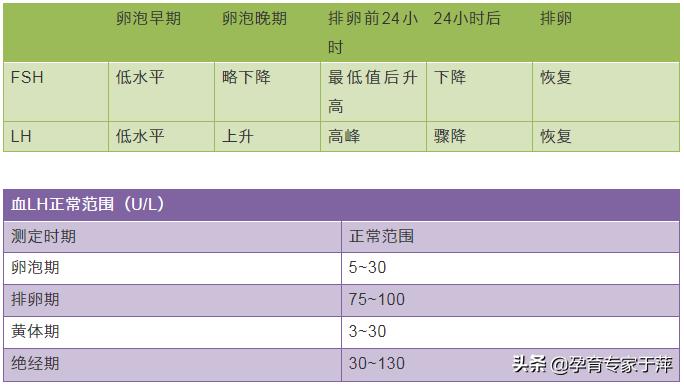因人工流产导致闭经怎么调理,月经不调导致不孕可以治好吗