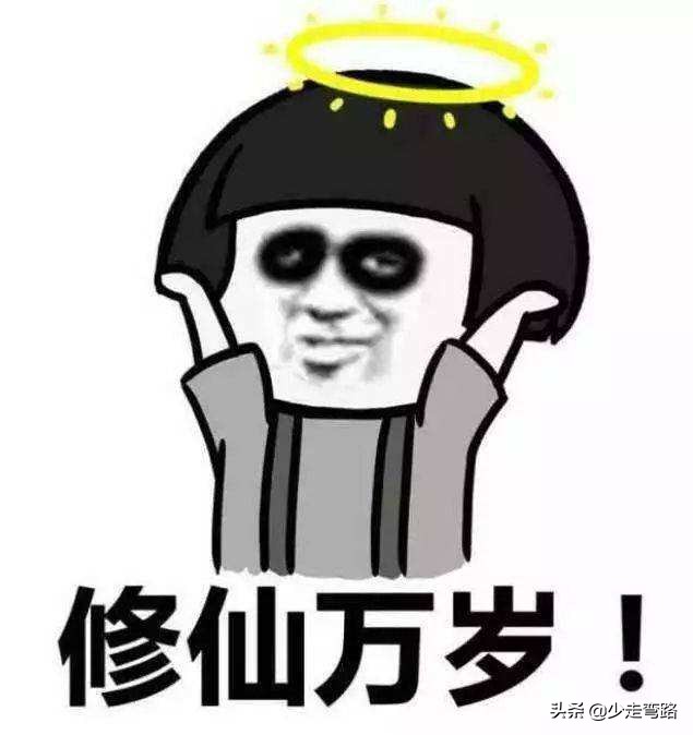 接受移植10年后生活会是怎样的？带你走进移植后患者的生活