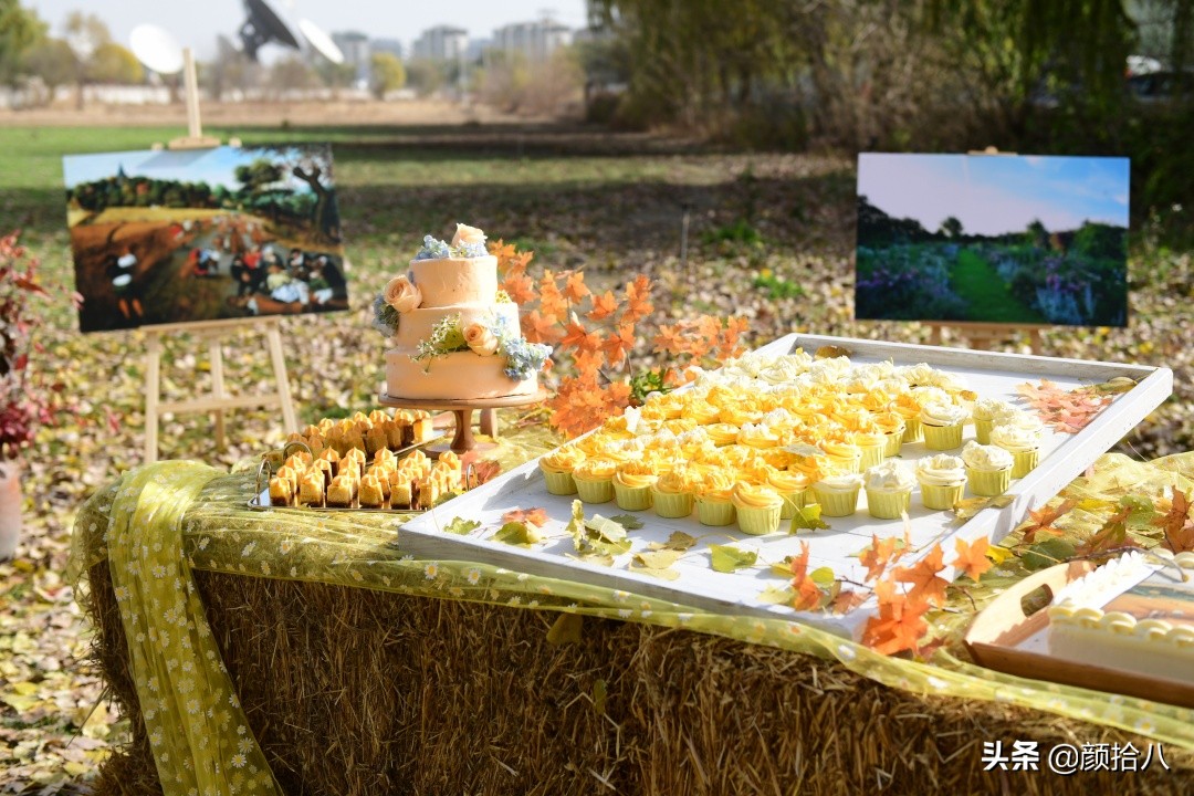 没有比利时花园游，来点比利时啤酒吧|随笔