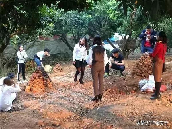 南宁农家乐烧烤地点推荐,南宁市周边农家乐窑鸡