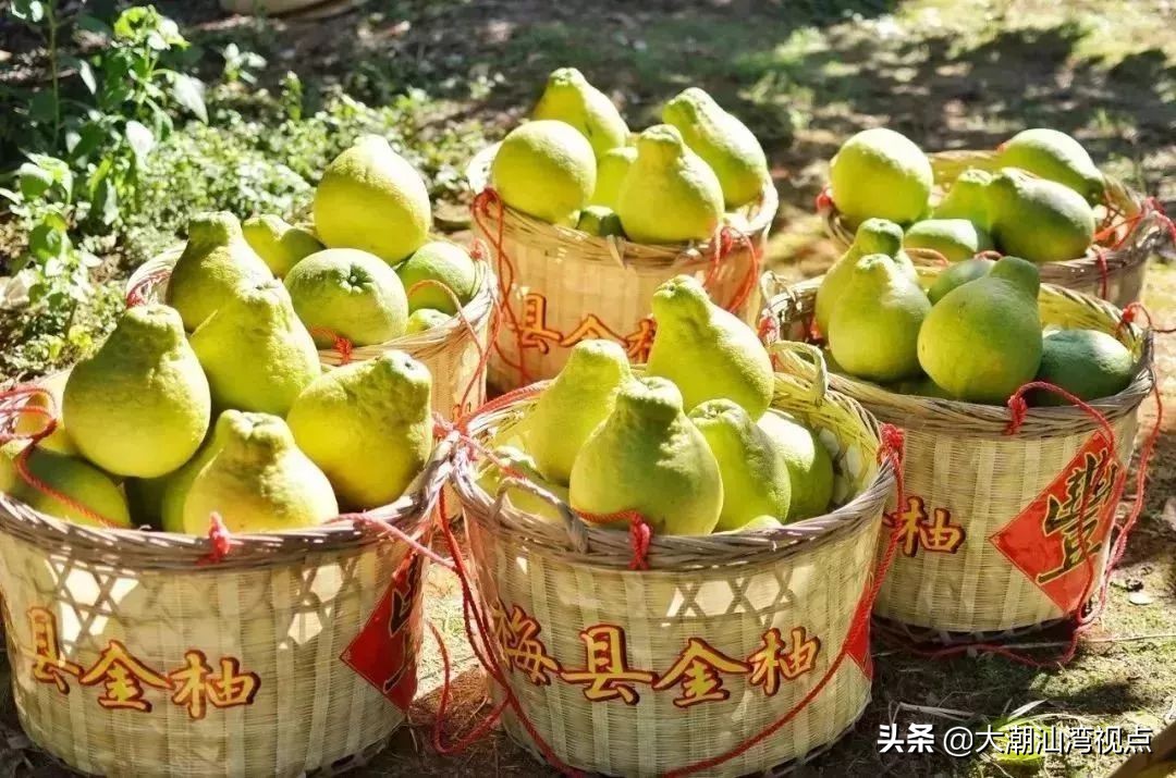 广东省各个城市的标志,广东21个城市地理排名