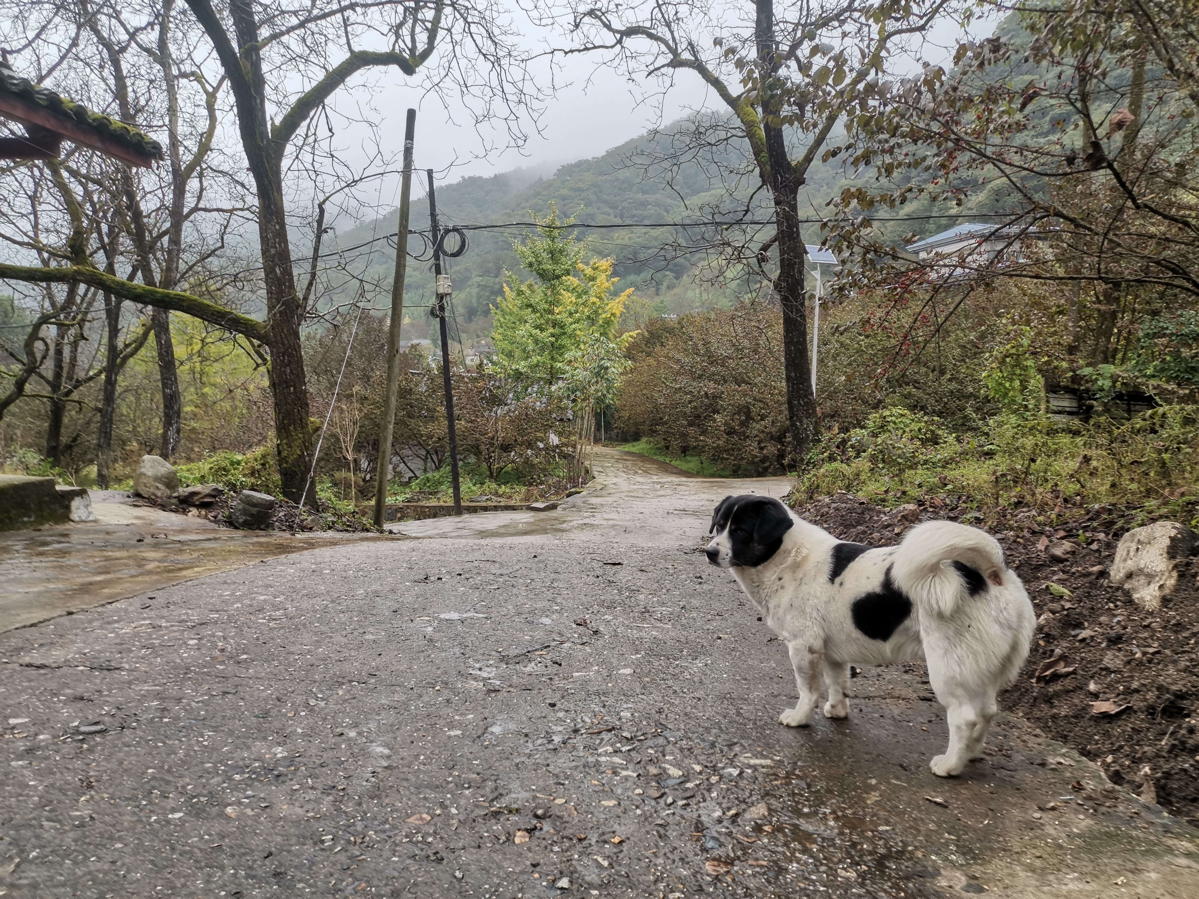 3万人“边城”何以名列国家公园