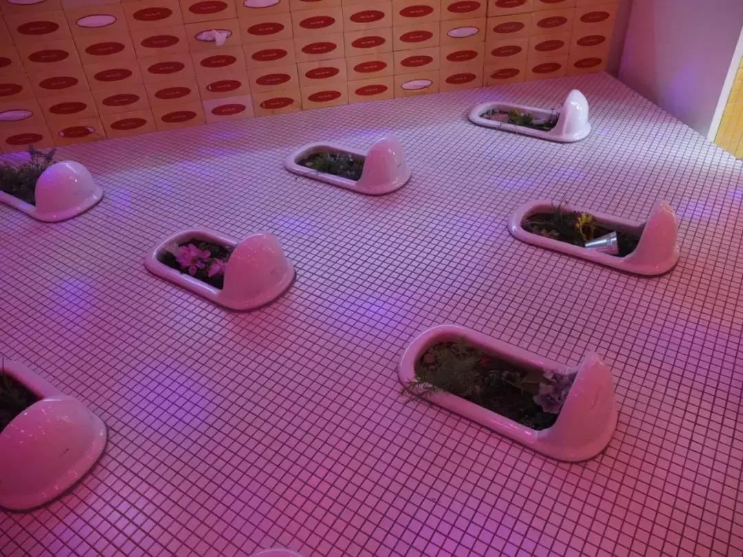 自己去韩国买便宜还是代购便宜,去韩国代购怎么走便宜