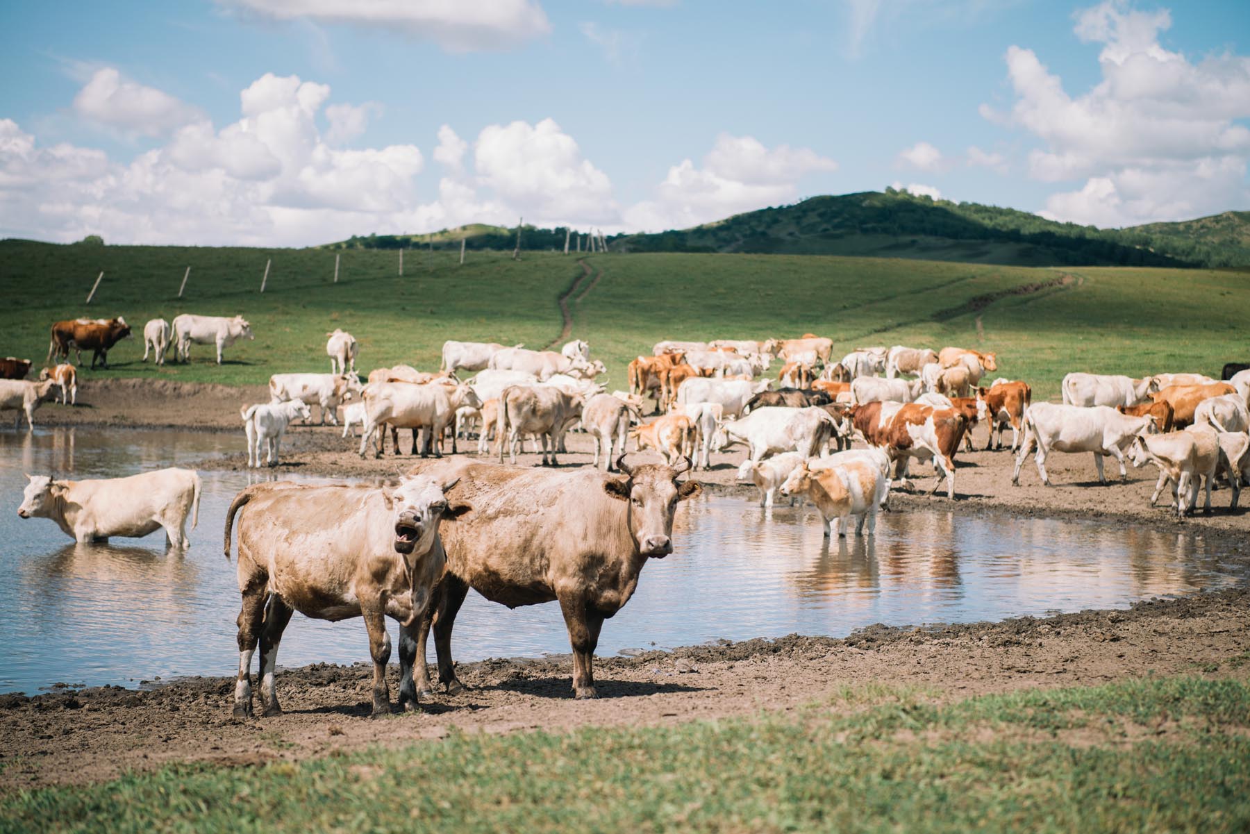 拥有这21件高颜值户外装备，让我们的草原野餐会像家里般优雅