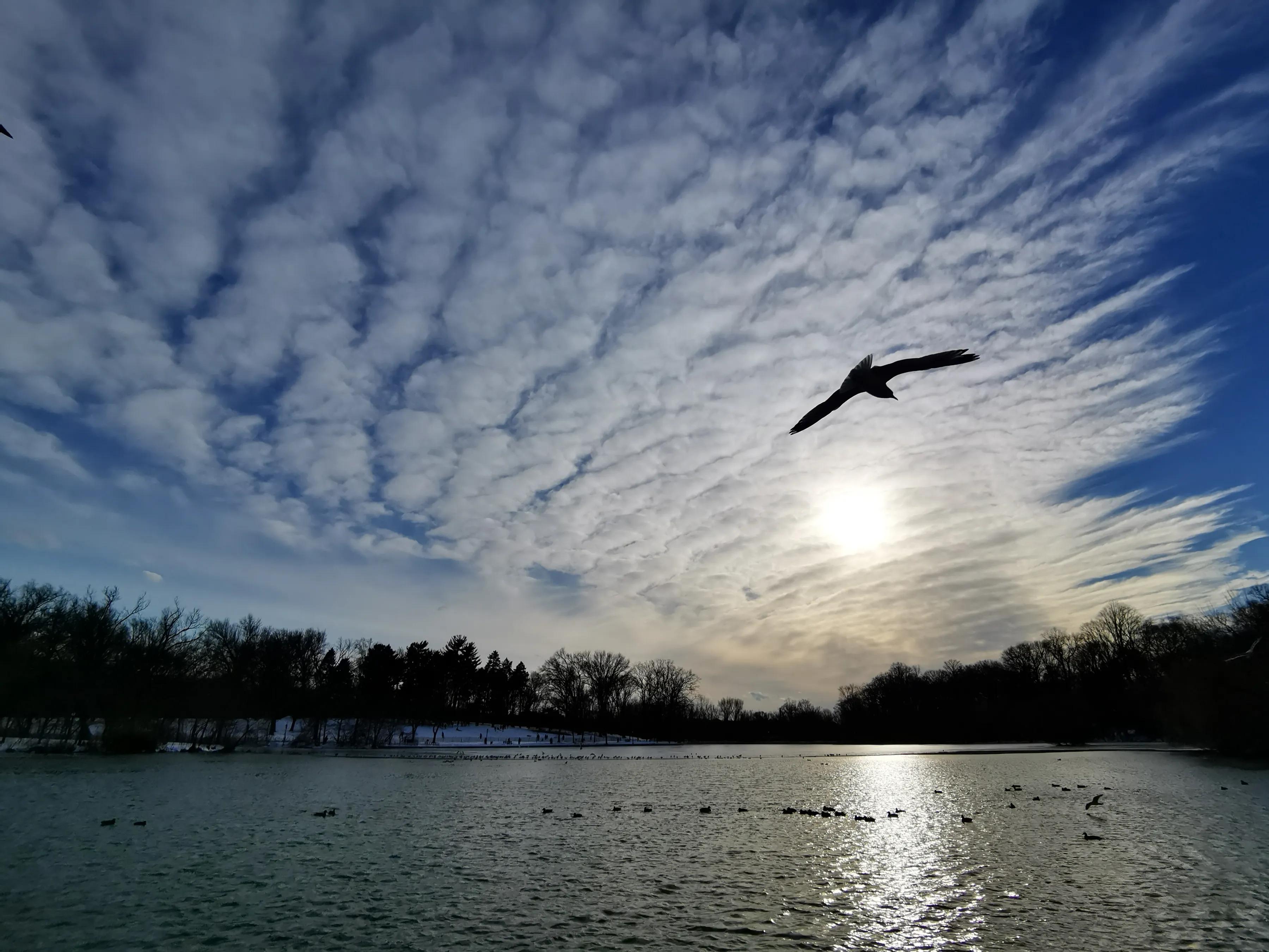 手拍世界作品集402期,2022年世界手机摄影大赛征稿