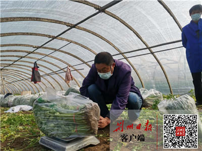 生鲜农产品基地社区直供模式,农业产地直供运营模式