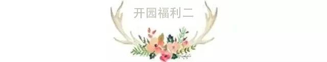 东南花都花博园全新升级鹿岛公园,东南花都花博园导览图