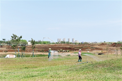 海口西海岸万绿园规划图,海口西海岸南片区再造万绿园