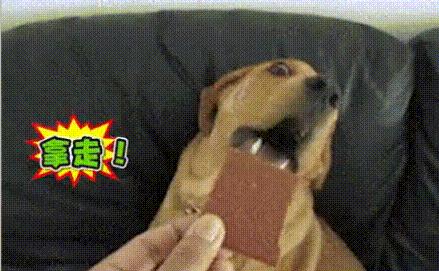 拒绝吃喝从我做起,拒绝饮食浪费从你我做起