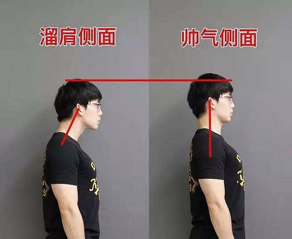 斜方肌太大怎么练视频,斜方肌太大了怎么练哑铃