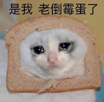 令人心动的offer3易立竞点评引热议：职场抱团，是一种慢性自杀