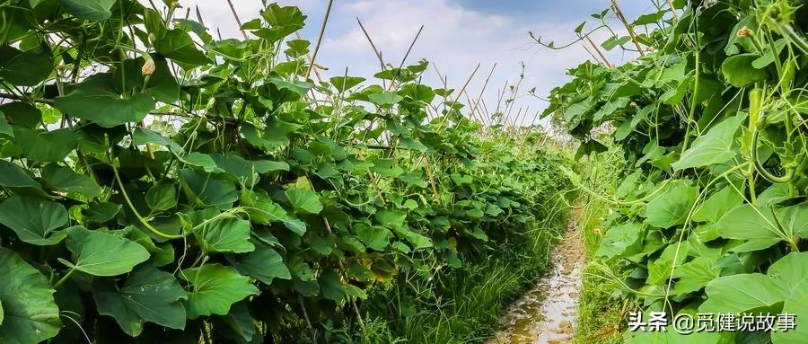 余生很短，别让遗憾太长——25岁女孩陪父抗癌手记（五）