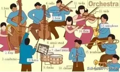 这36张图包含了中学英语所有生活用词，太全了，收藏起来