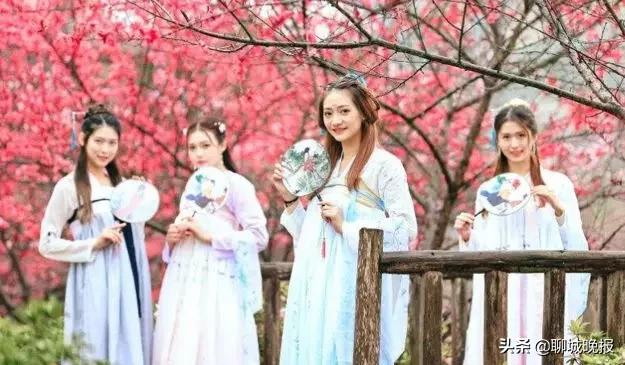 陆毅元旦晚会,陆毅开年刊