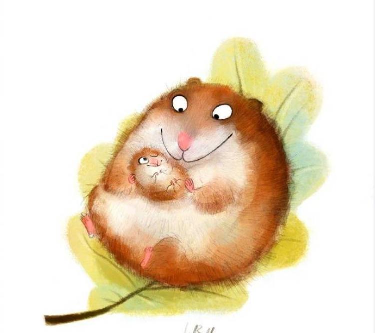 兔子掳走了狐狸，小黄鸭战胜了鳄鱼（简笔画、插画、手账）