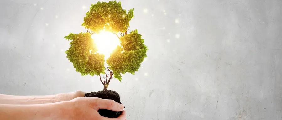 天然茶油就选赣南茶油,赣南茶油品牌排行榜