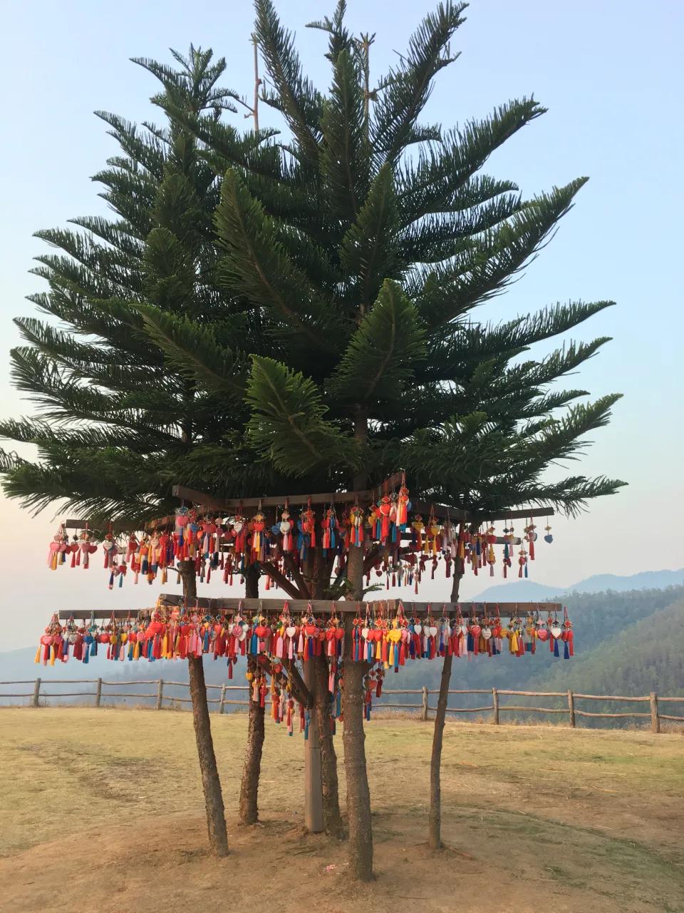 泰国有多好玩,泰国有什么好玩的东西